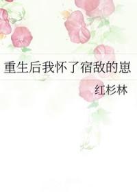 重生后我怀了宿敌的崽(红杉林)