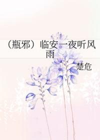 临安一夜听风雨txt
