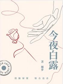 小镇谜案电影