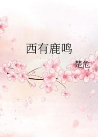 西有鹿鸣 by楚危讲的什么