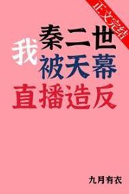 我做秦二世123