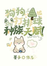 狗狗和保安打排球