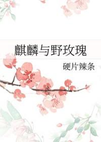 麒麟野玫瑰免费阅读