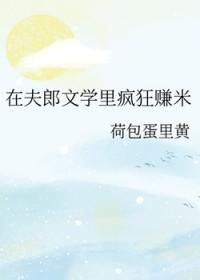 在夫郎文学里疯狂赚米by