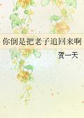 你倒是把老子追回来啊番外