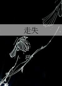 走失是什么意思