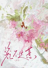 瓷不达薏免费阅读