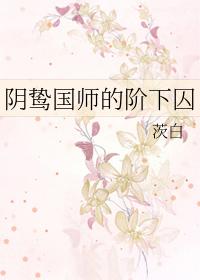 国师阶下囚