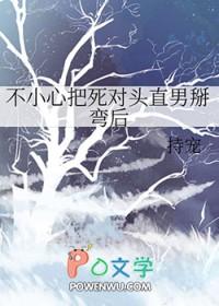 不小心把死对头直男掰弯后百度