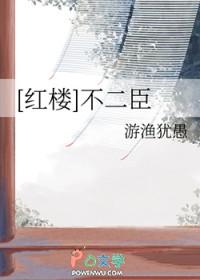 红楼不二臣