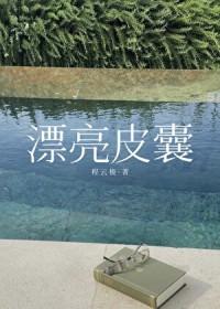 漂亮皮囊by程极云在线阅读
