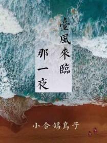 台风来临那一夜讲的什么