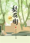 成都梨花街