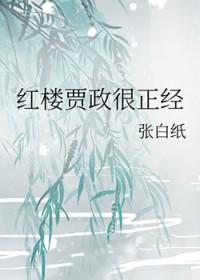 红楼之贾政小妾