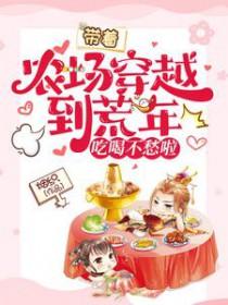 带着农场穿年代文无弹窗