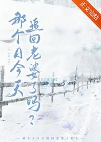 今天追回老婆了吗免费阅读