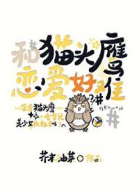 排球少年猫咪