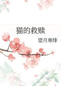 文野主角是猫的