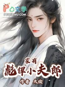 家有彪悍小夫郎(点绘)