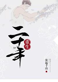 二十年来辨是非