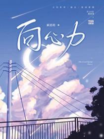 向心力公司