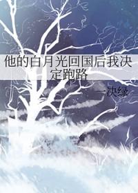 回国了