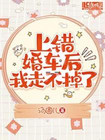 上错婚车后我走不掉了晋江