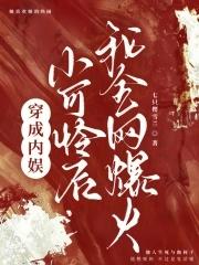 书名穿成娱乐圈小可怜后我爆红了 女主