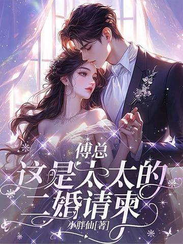 二婚总裁傅先生别来无恙