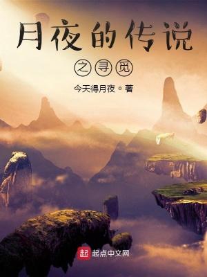 月夜传说网游