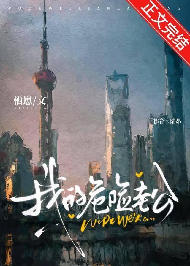 我的危险老公最大结局