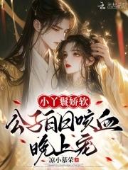 小丫鬟免费阅读