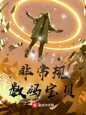 数码宝贝v