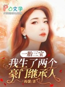 一胎三宝我生了两个豪门继承人