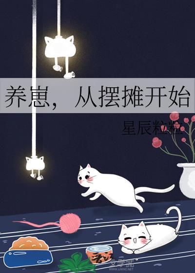 从摆摊开始作者星辰粒粒