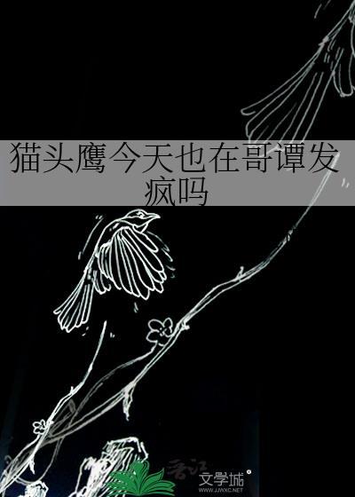哥谭猫头鹰法庭是好的还是坏的
