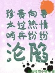 经典的哨兵向导文