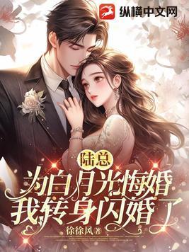 陆总宠妻没商量全文免费阅读