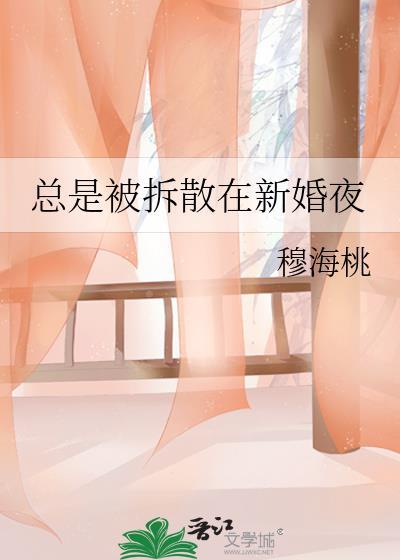 总是被拆散在新婚夜免费阅读