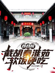 四合院上秦淮茹的