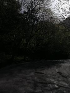 凝望的意思是什么的意思