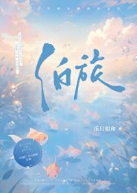 泊旅梁兵个人简历