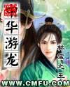 中华游龙2