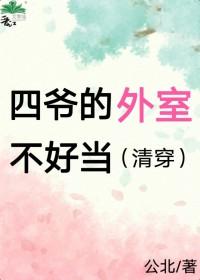 穿成了四爷的外室