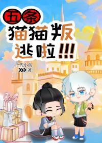 五条喵表情包