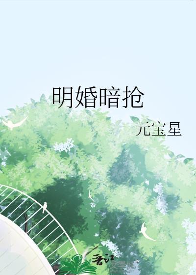 明婚暗抢笔趣阁