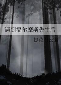 福尔摩斯 对手