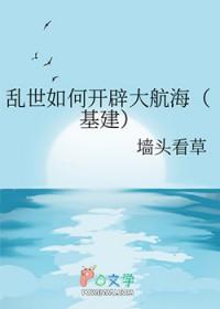 乱世海贼王攻略