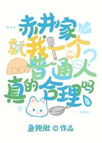 赤井家关系