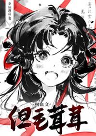我是猫猫世界唯一的人类大结局